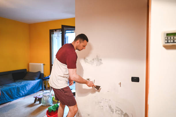 Best DIY Mold Remediation Support Services in Southaven, MS